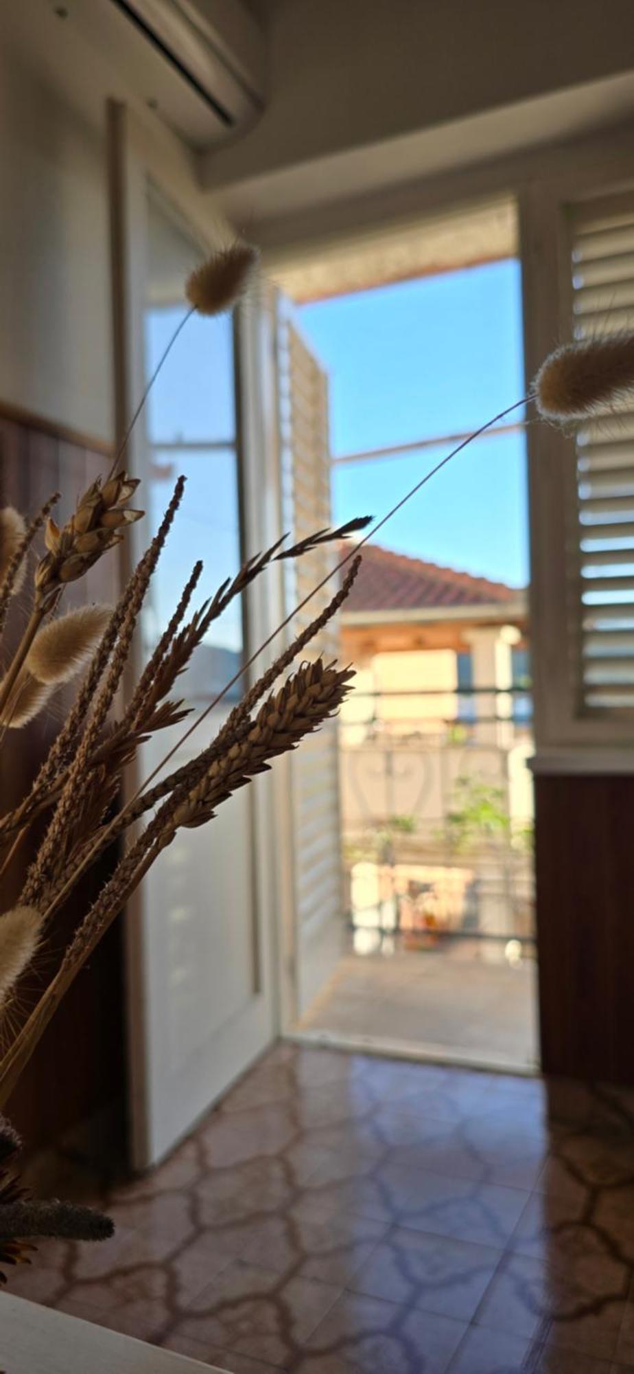Apartman Andela プレコ エクステリア 写真